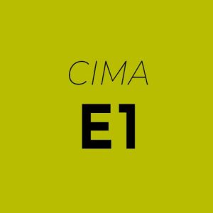 E1 – Managing Finance in a Digital World