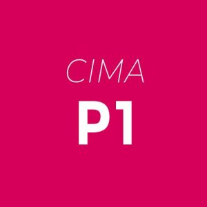 P1 – Management Accounting